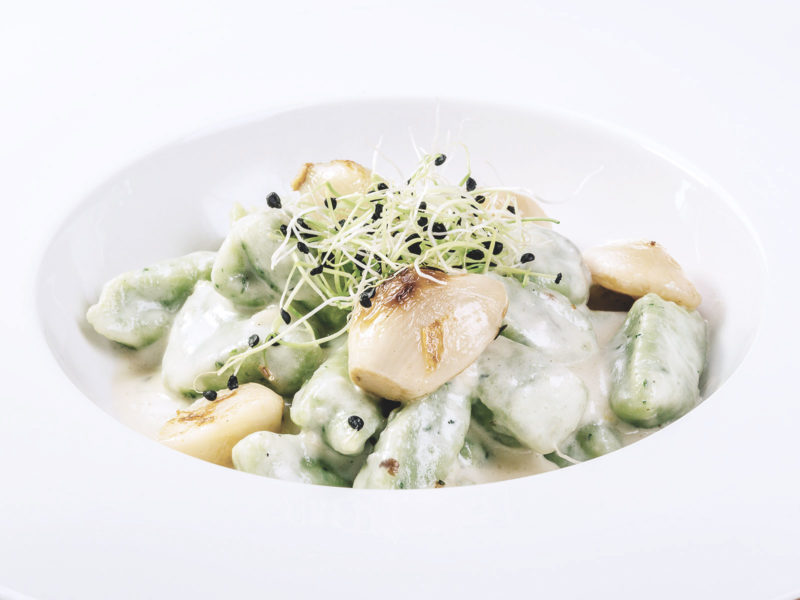 Potato gnocchi in gorgonzola cheese and roquet sauce