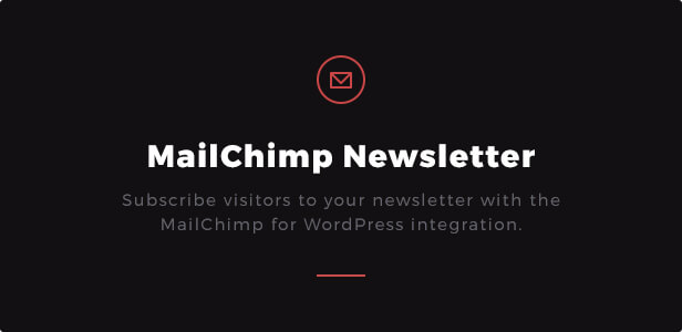 MailChimp Newsletter: Subscribe visitors to your newsletter with the MailChimp for WordPress integration.